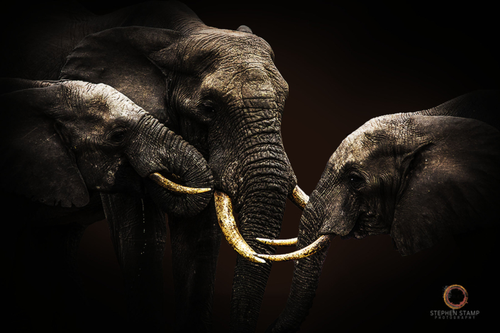 20160524 – IMG_1044 – (1800×1200 – 150dpi – image size 8)