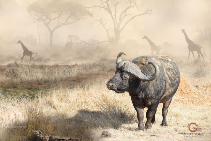 20220706 – 0H8A7209E – (1800×1200 – 150dpi – image size 8)