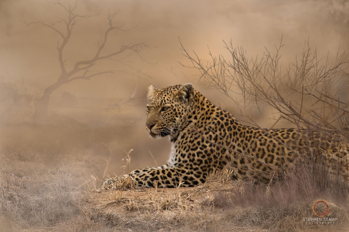 20221114-IMG_8956 – (1800×1200 – 150dpi – image size 8)