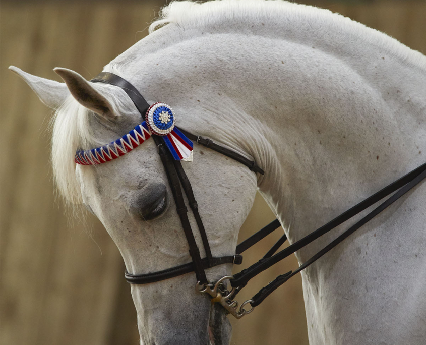 20180421 - 0H8A0671 - (1800x1200 - 150dpi - image size 8)